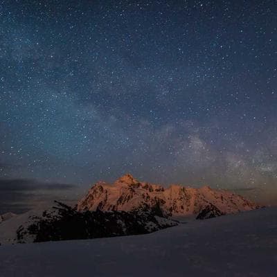 Nisha Rathore — Social Media Lead