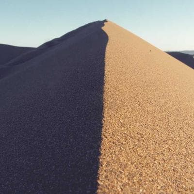 Rohan Mehta — Creative Director