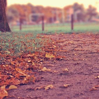 Team brainstorming session